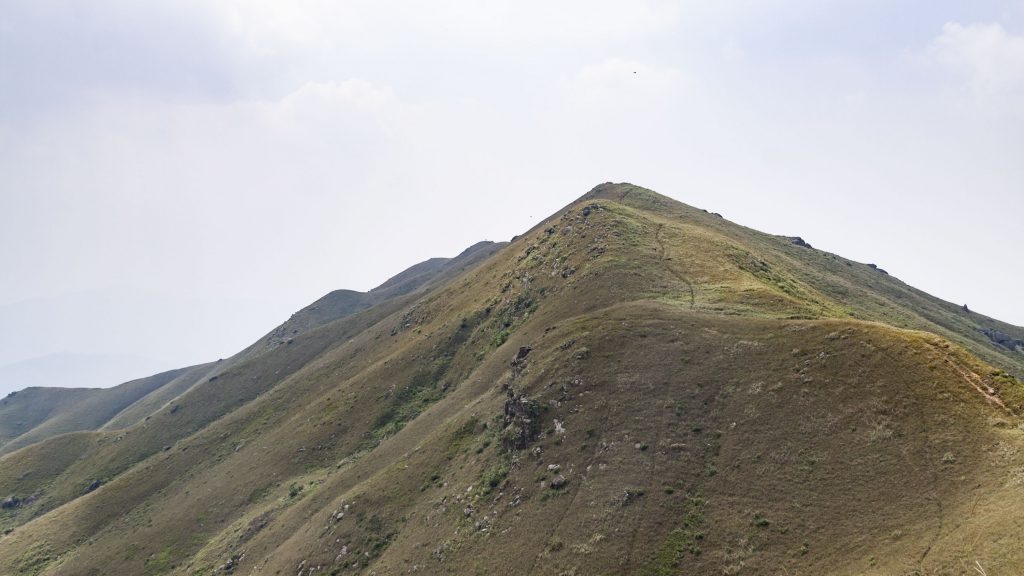 雞公嶺上沒有山徑，只能沿著單車痕向前走