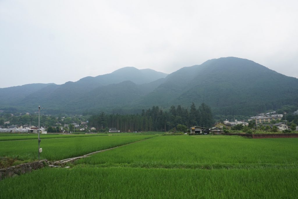 由布院溫泉酒店對出的風景， 望望也覺得高興。