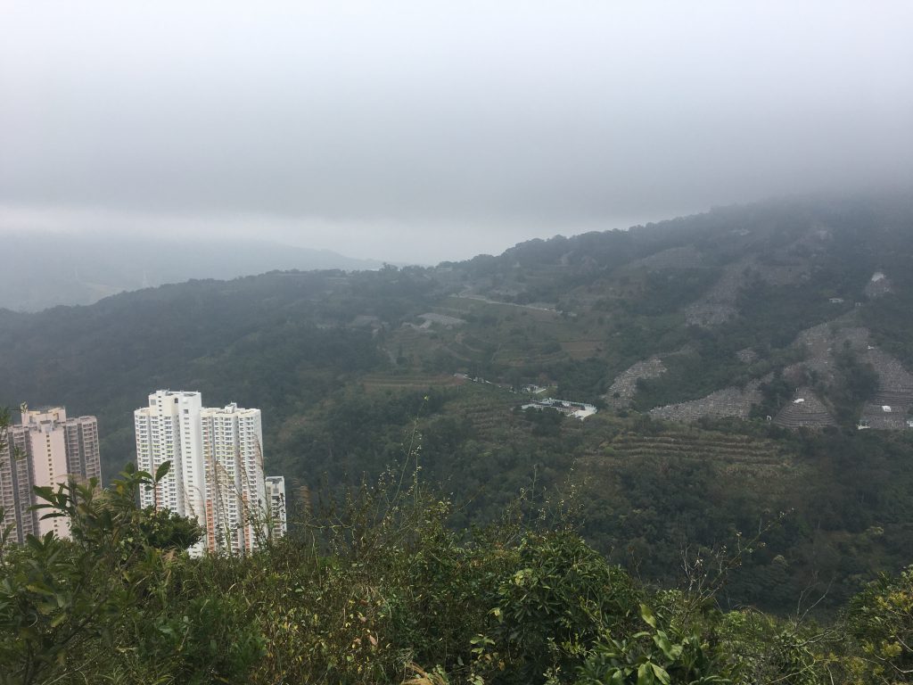 在蝴蝶山上鳥瞰暉明村