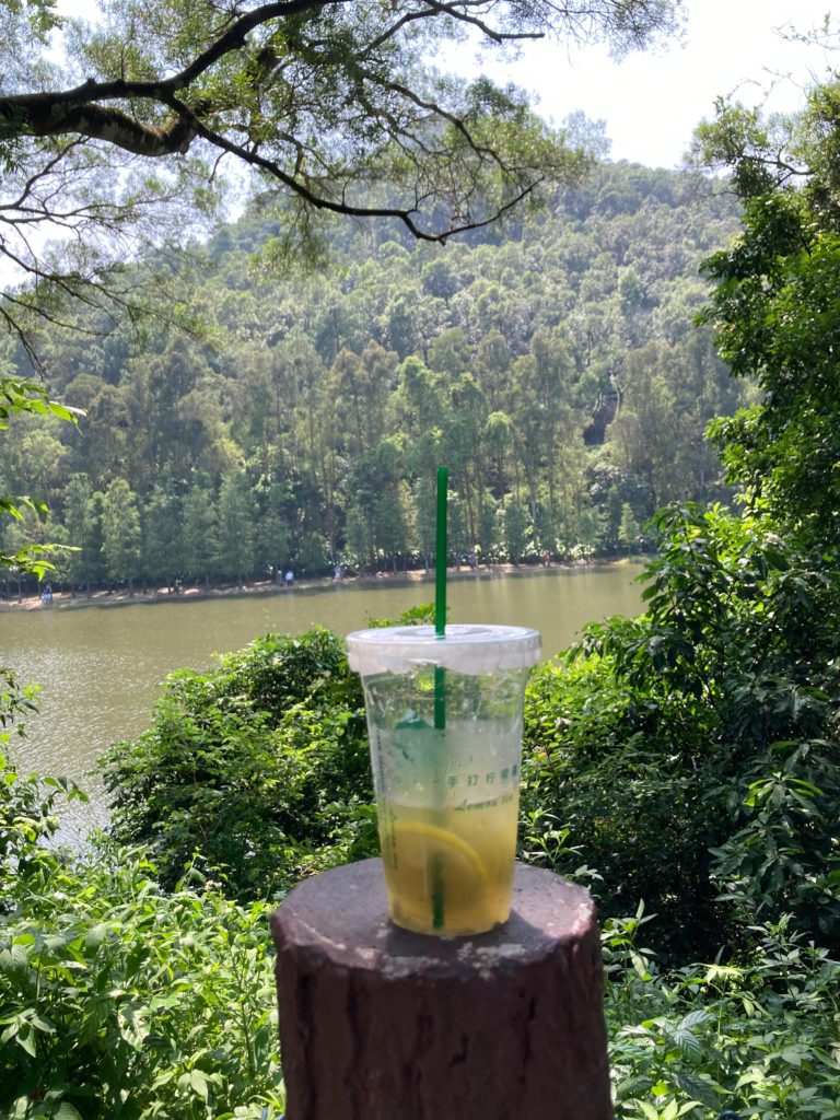 飲住檸檬茶去行山