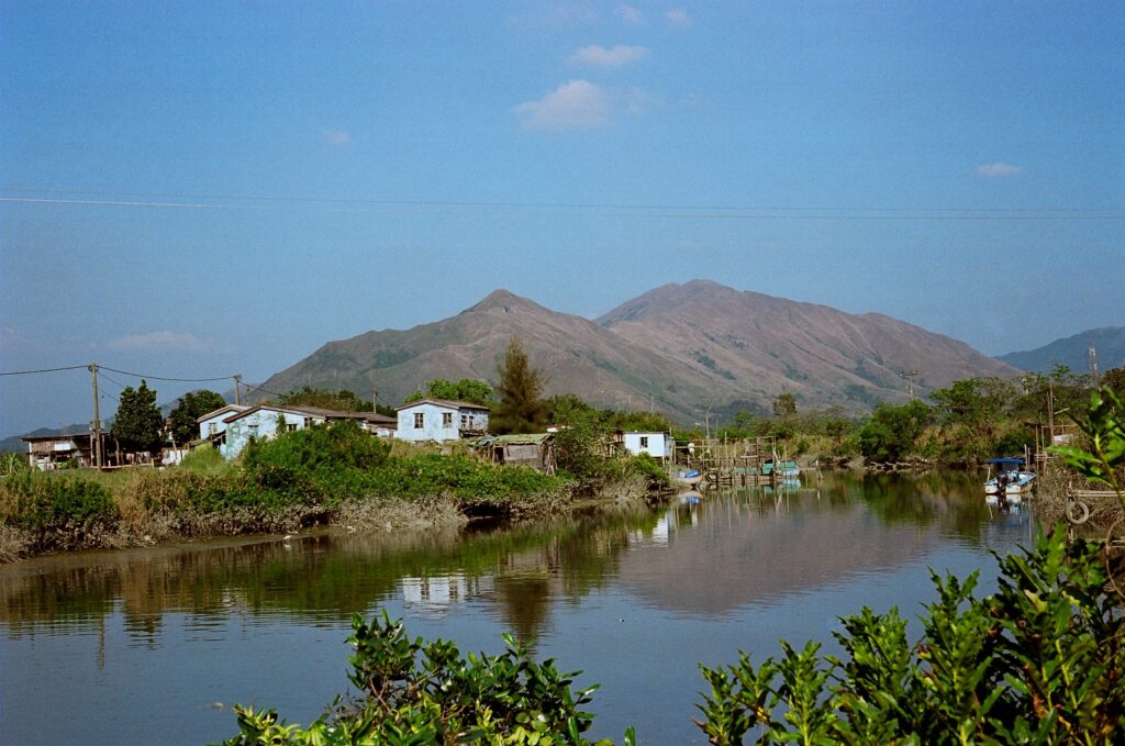 菲林拍攝 2011年 南生圍 Canon EOS 3 Kodak Golden 200